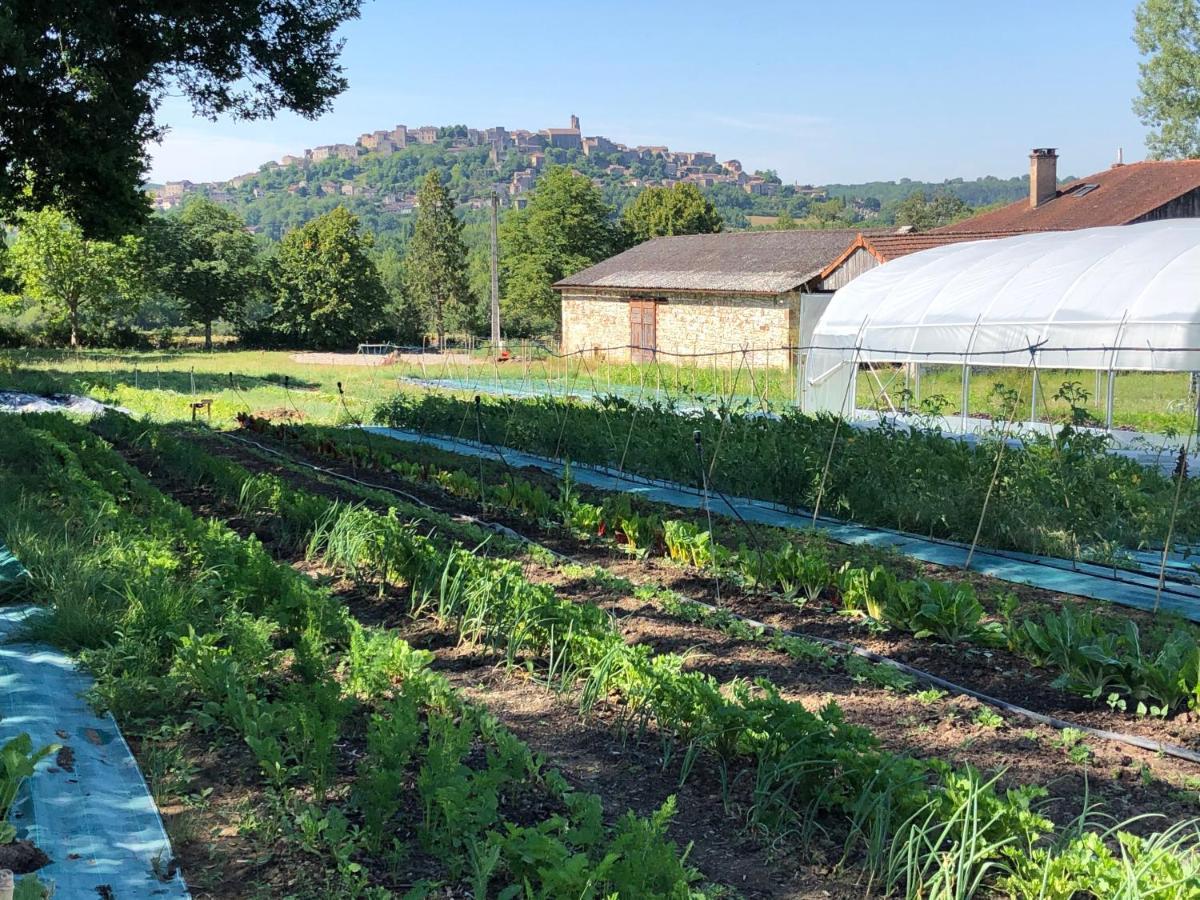 Gite A La Ferme De Verdurette Cordes-Sur-Ciel Exterior photo