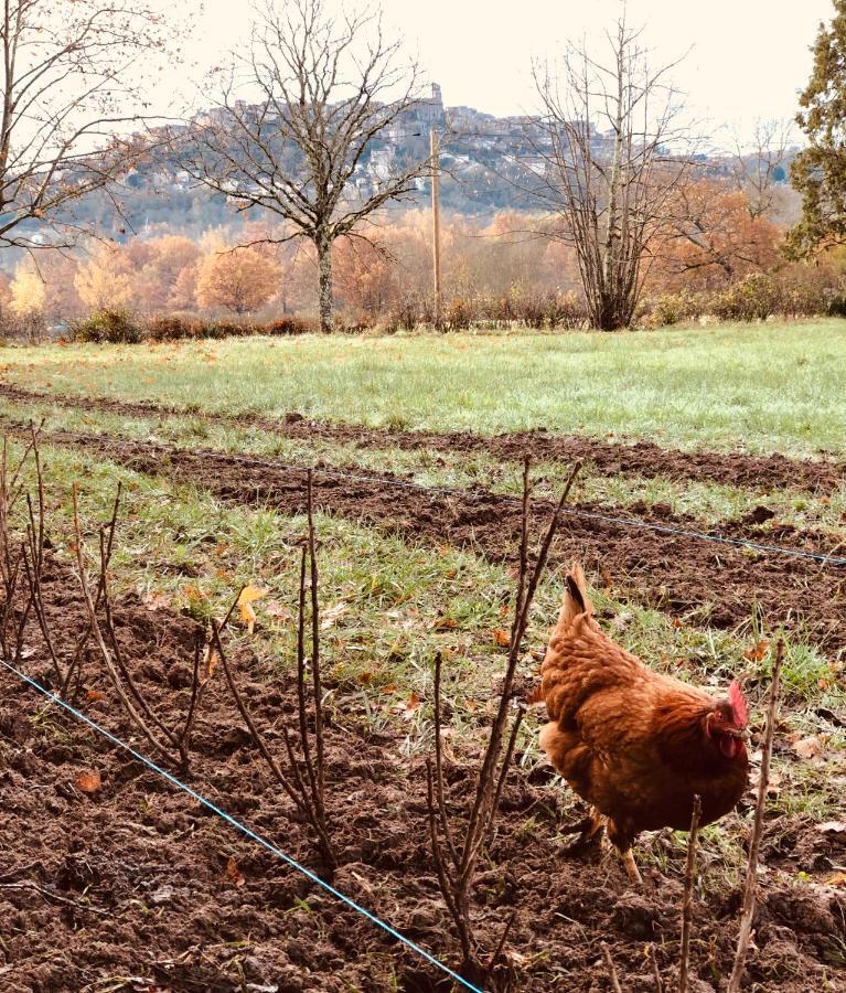 Gite A La Ferme De Verdurette Cordes-Sur-Ciel Exterior photo